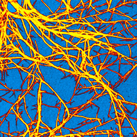 光电导聚合物薄膜