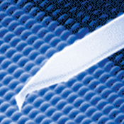 Olympus AFM探测可见顶点