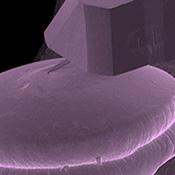 原子力显微镜探针相对于针尖的规模