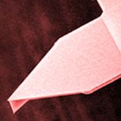 纳米世界悬臂箭超高频