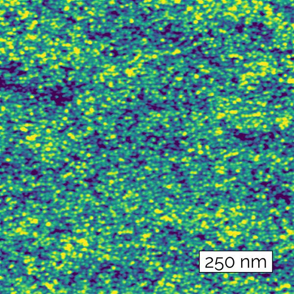 Ergo AFM软件PMR磁盘驱动器介质