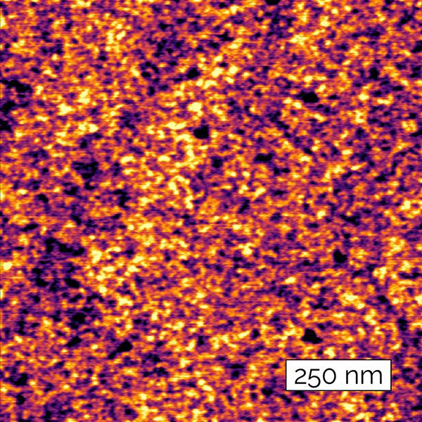 ERGO AFM软件硅晶片颗粒