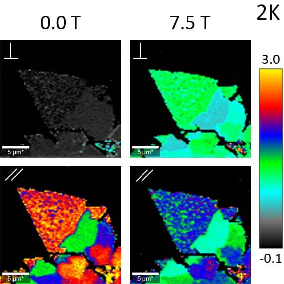 MOS2 2K B POL DEP拉曼网络