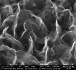 PECVD垂直石墨烯的结构