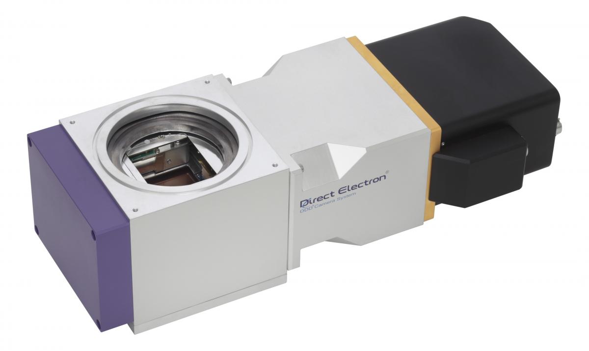 直接电子64 TEM相机