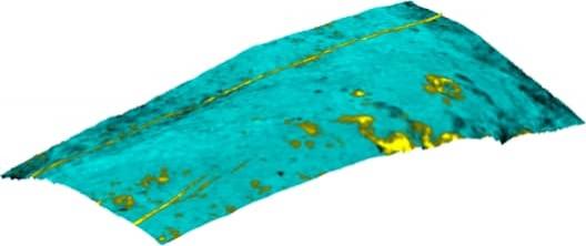 牙齿牙齿形态化学