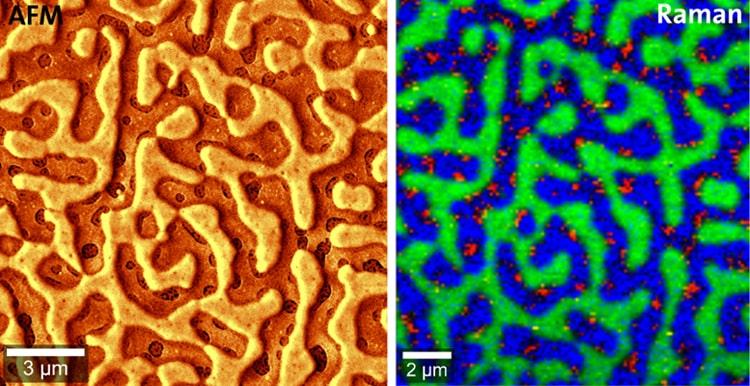 Witec相关拉曼AFM聚合物混合物