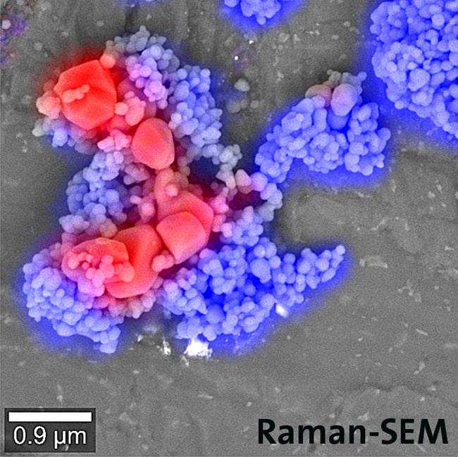 witec相关拉曼SEM Tio2