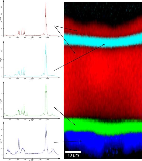 witec拉曼深度剖面涂料