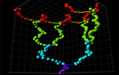 分析和理解细胞命运