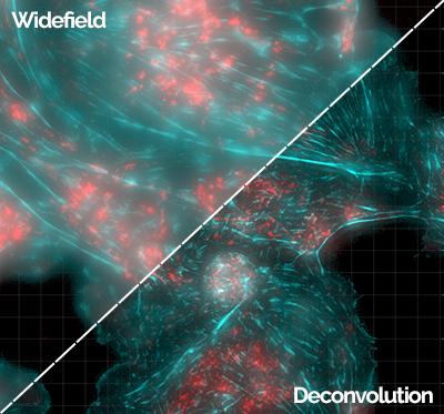 广域反褶积-蜻蜓
