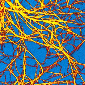 AFM图像显示光电材料的光导性能