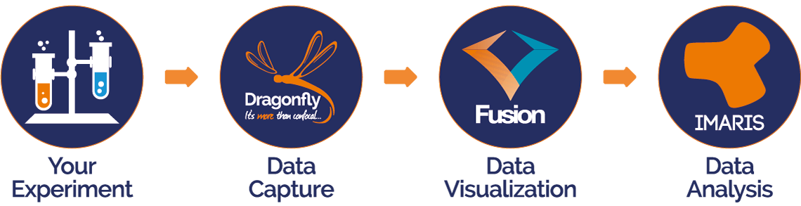 你的实验-数据捕获-数据可视化-数据分析