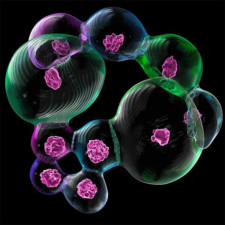 Imaris 9.5:洞察力渲染和本地距离测量