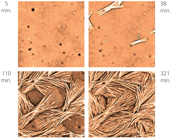 共规聚丙烯熔化到160°C，然后允许在105°C结晶。