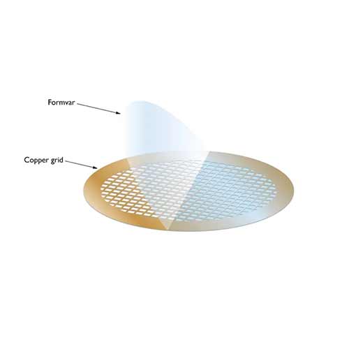 Formvar/Carbon on 400目铜(每包25个)产品照片