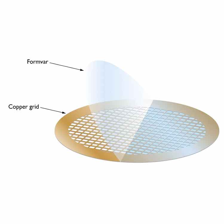 Formvar/碳上3mm 200目铜(每包25张)产品照片