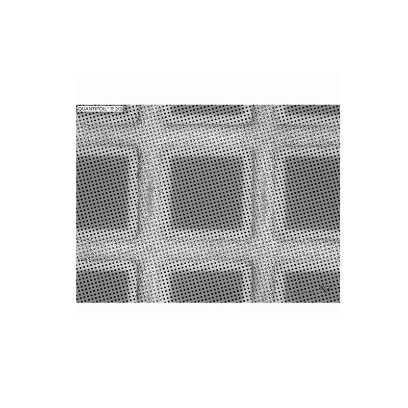 Quantifoil 200网黄金R2/1um——多洞的碳电影(群10)产品照片