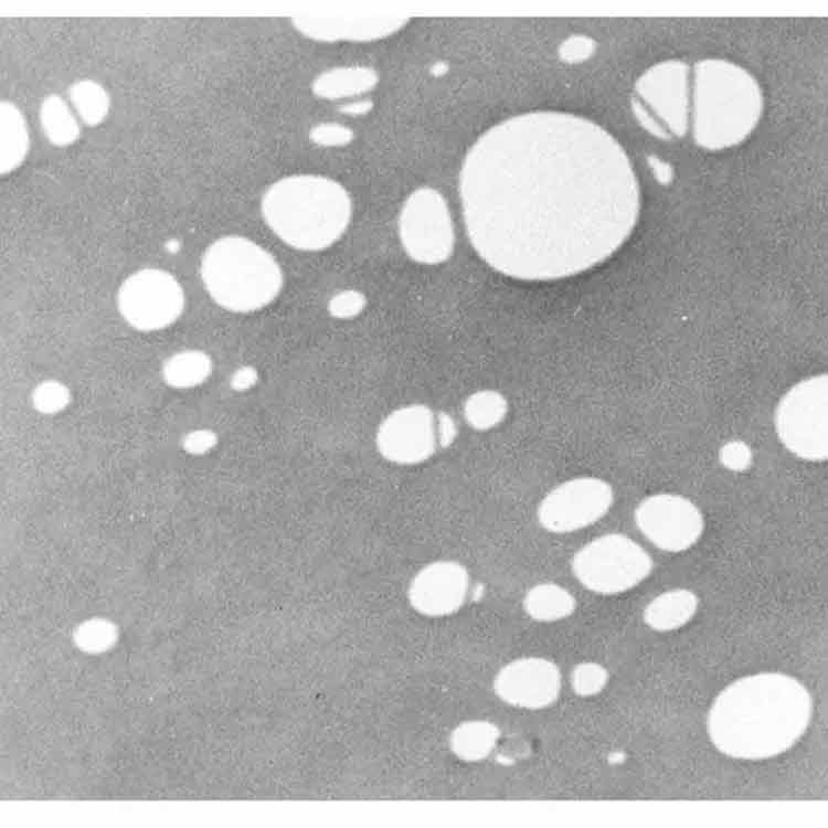 穿孔碳膜，3.05mm栅格产品照片