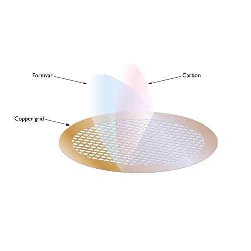 Formvar 200目铜/碳3毫米(群25)产品照片