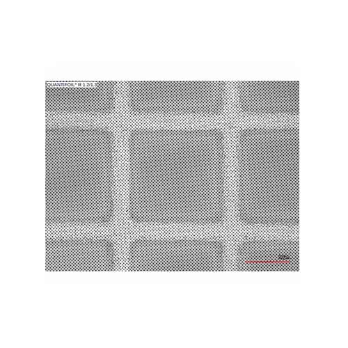 Quantifoil 200目铜R1.2/1.3µm——多洞的碳电影产品照片前视图L